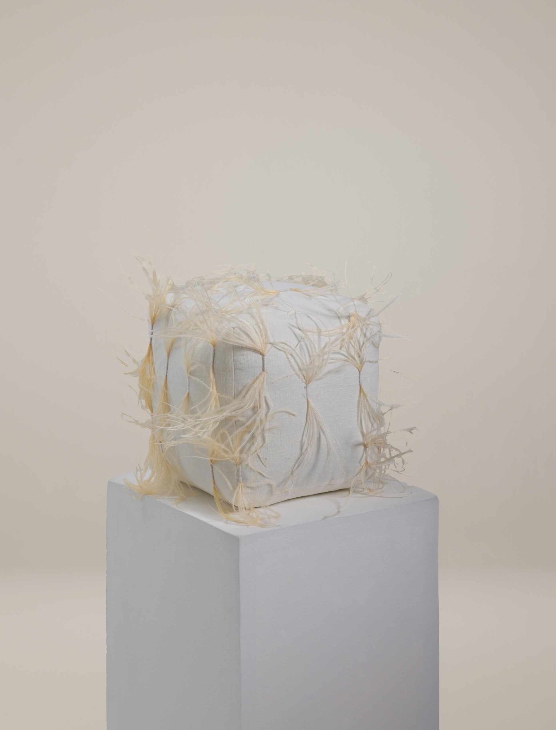 The CUBE scatter in feathers