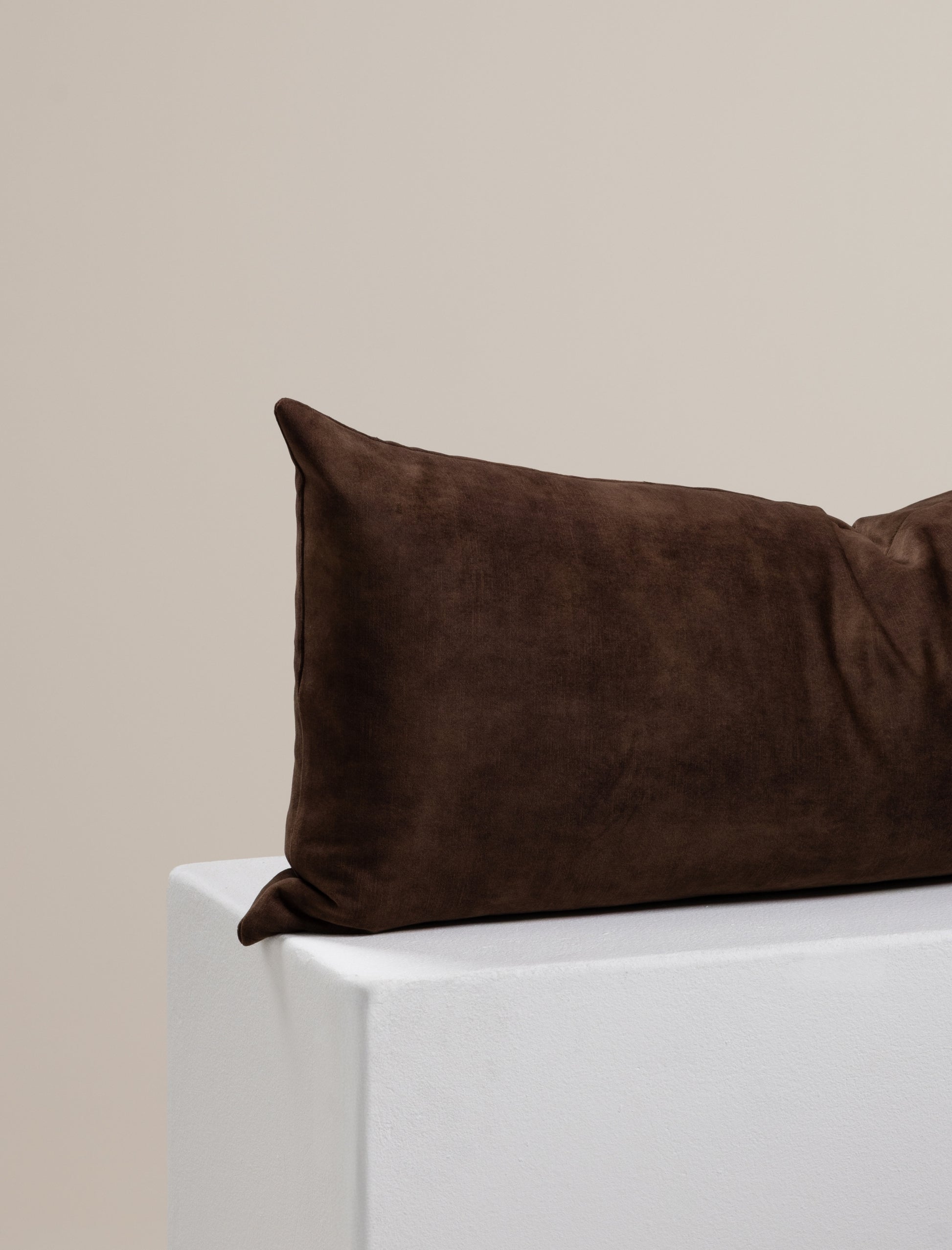 The RECTANGULAR scatter in mocha