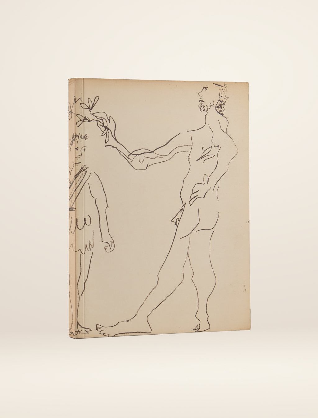 Picasso Nudes by Pablo Picasso