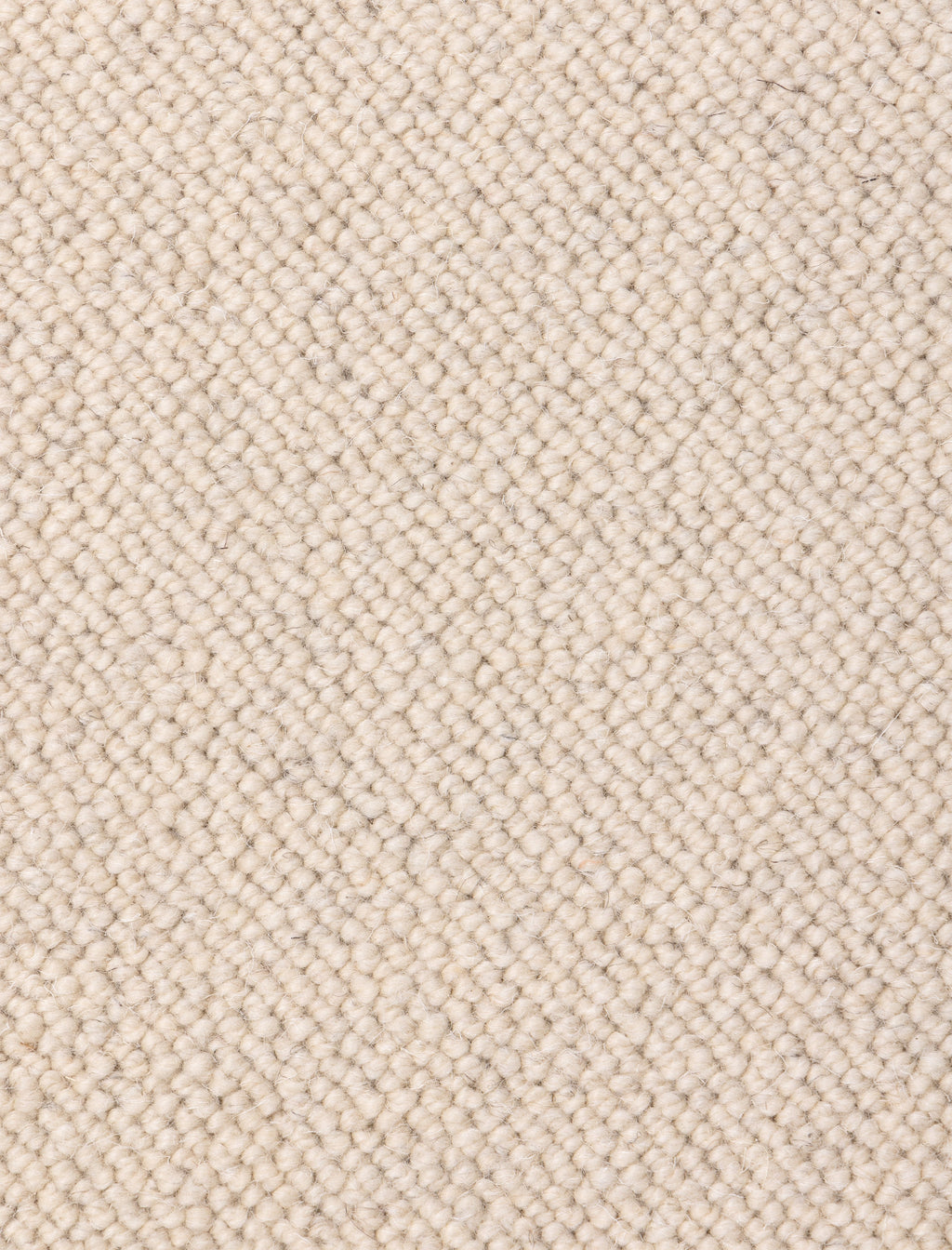 The MAGIC CARPET rug