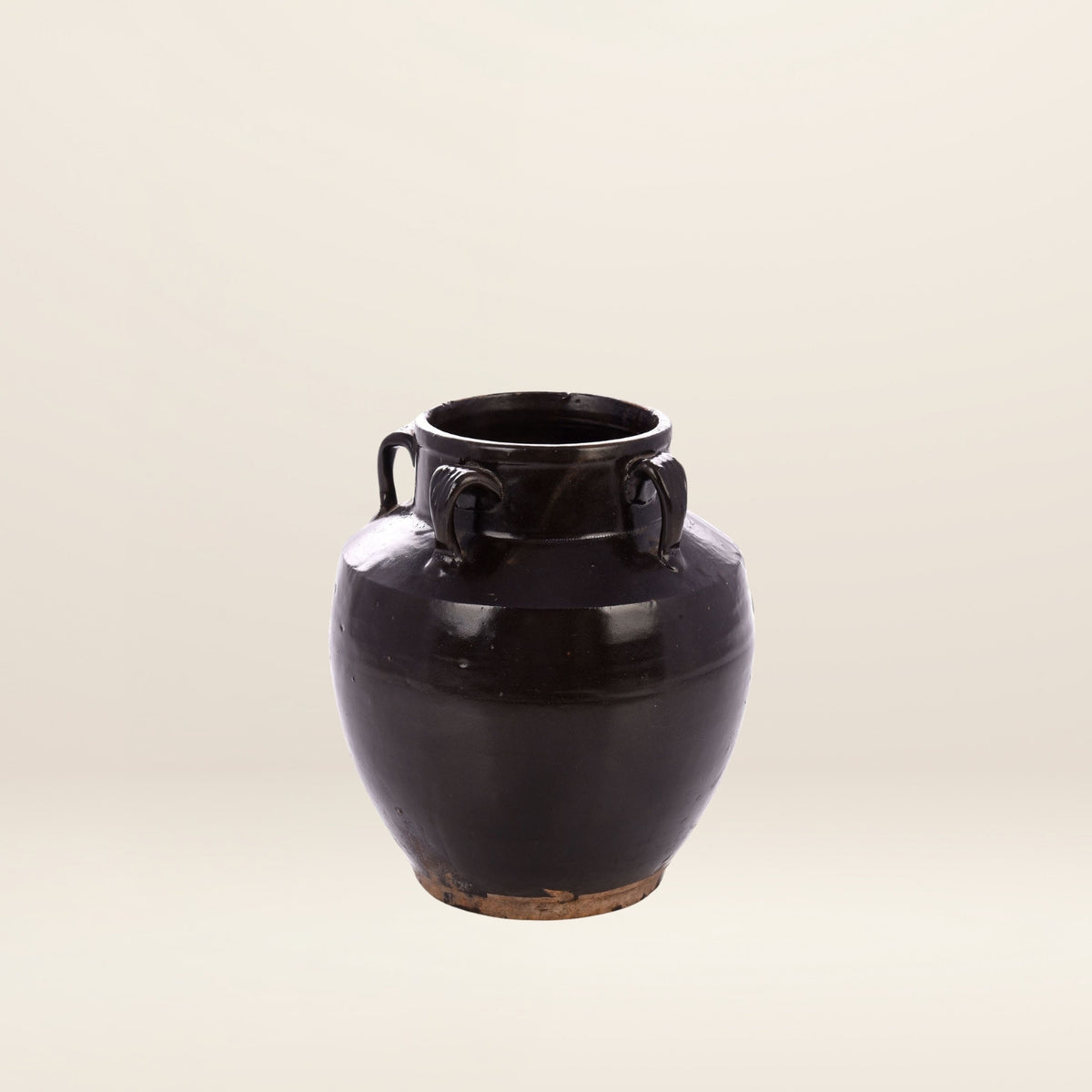 The HANDLED brown vase